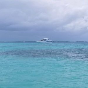 Meet your Posher, Annabelle